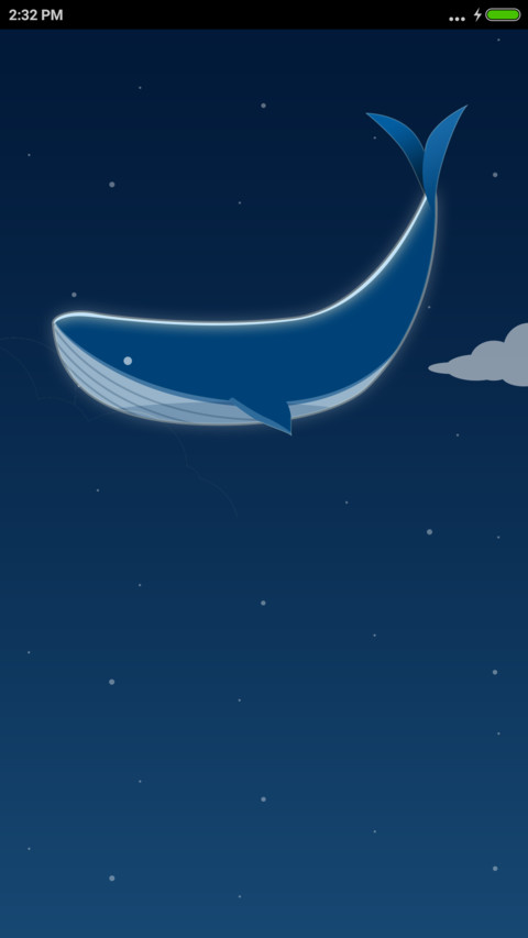 Dolphin Bay preview