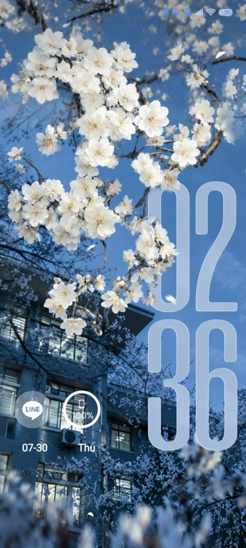 N3D, Bloom due preview