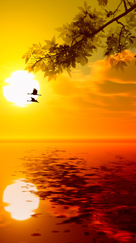 lingering light of the setting sun-05 preview