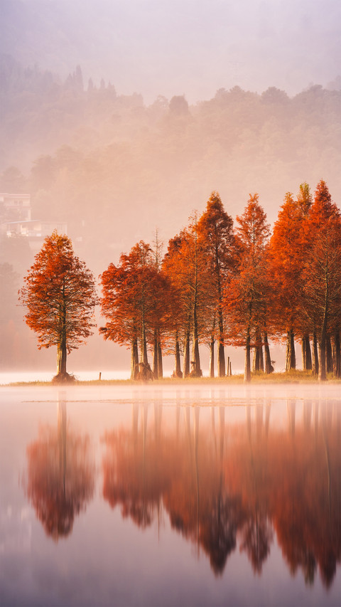 The morning mist of early autumn preview