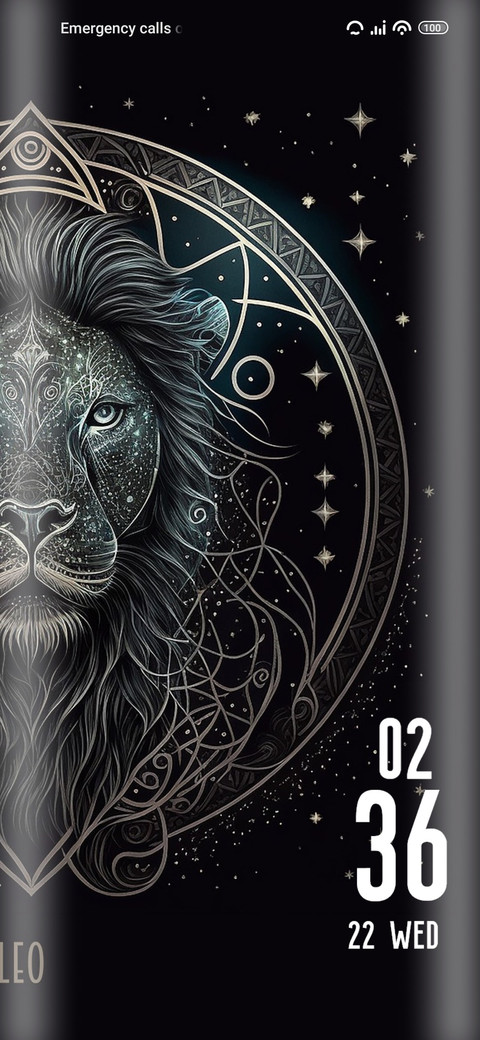 Leo star sign preview