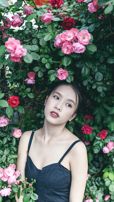 气质美女-拍信图库 preview