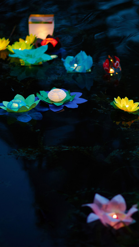 Moonlight in lotus pond-01 preview