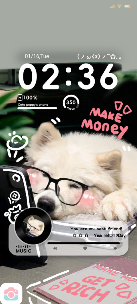 Ins is Money dog preview