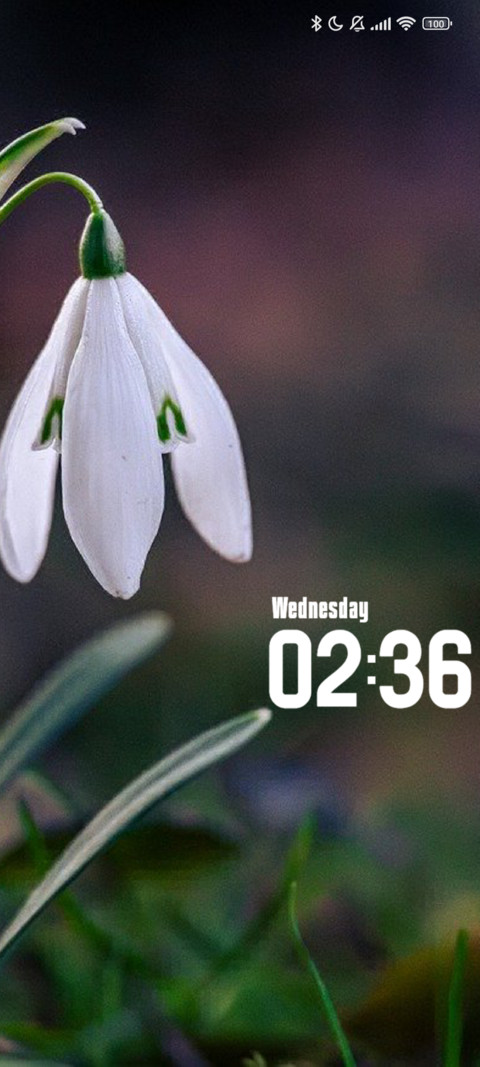 Snowdrop preview