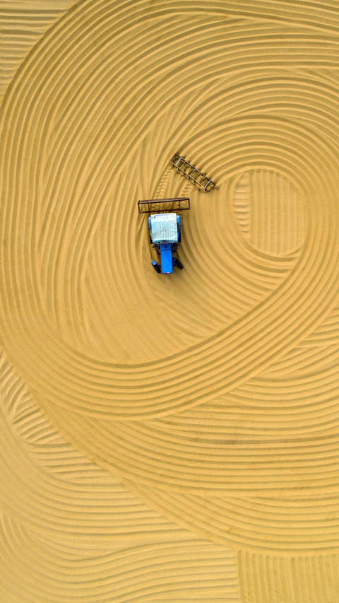 National summer grain production reaches a new high 2 preview