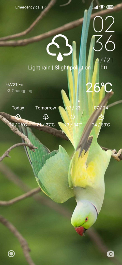 LILY NAVVA V12.5 preview