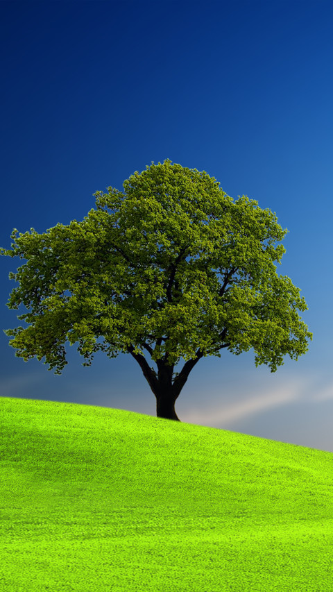 Green tree preview