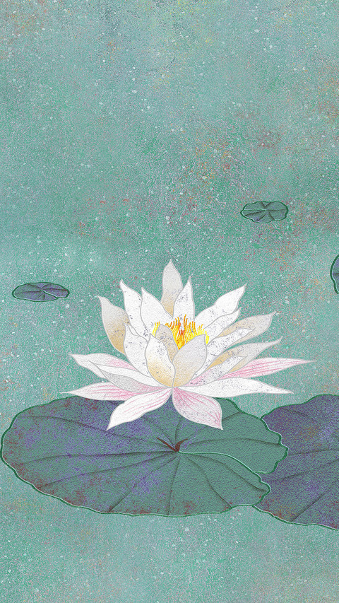 国风花卉 preview