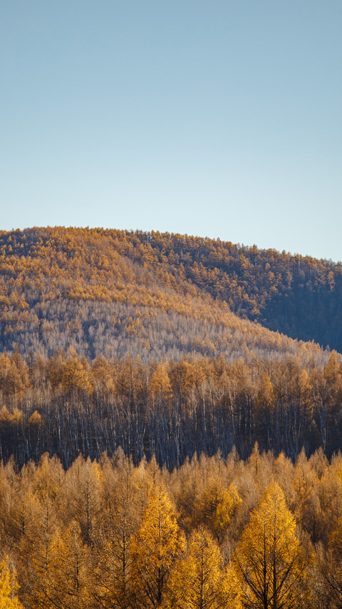 The autumn charm paints all the peaks preview