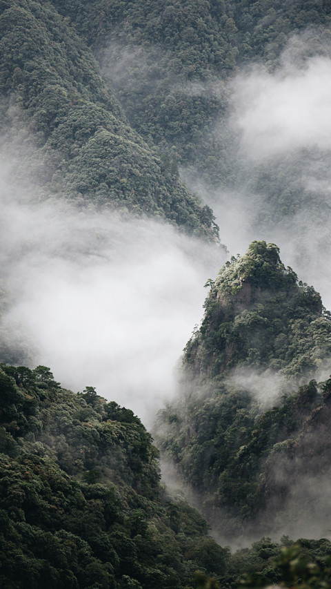 山 preview