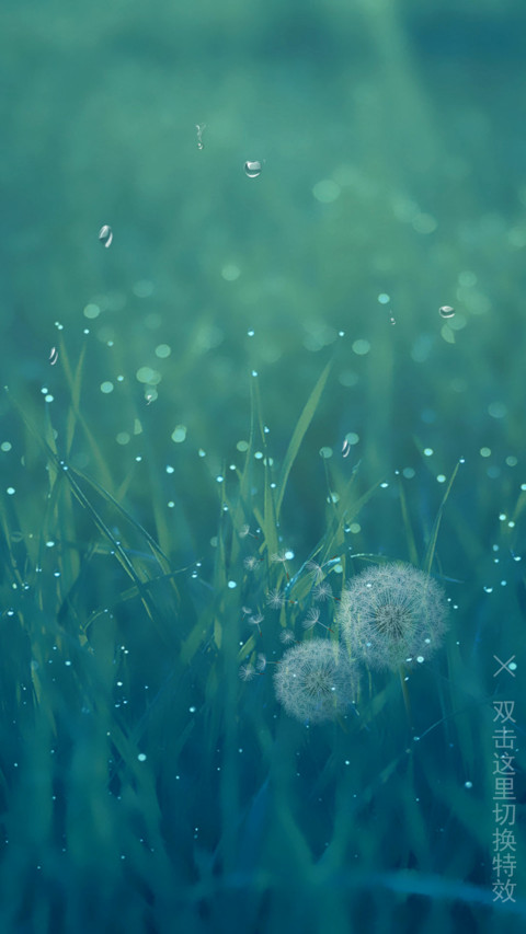 芬芳 preview