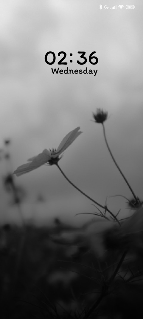 Grey Petals preview