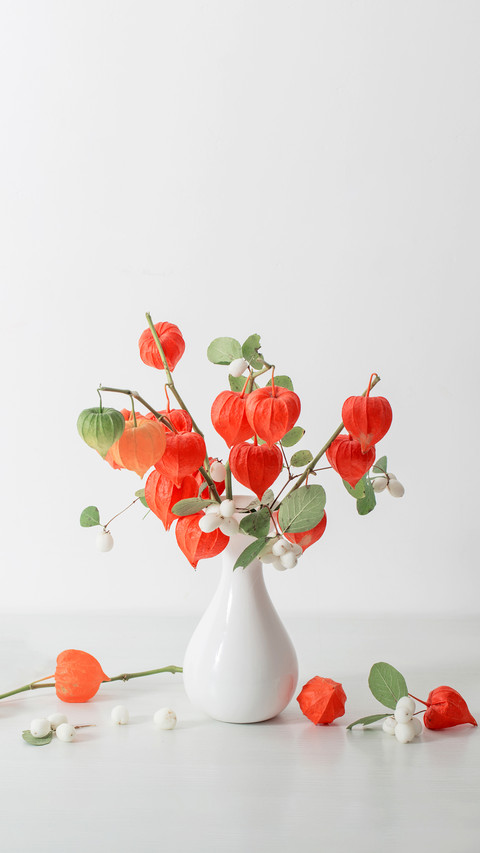 插花常用器皿 preview