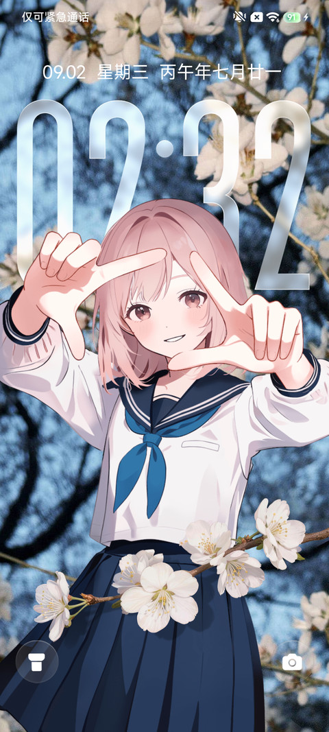入画 preview