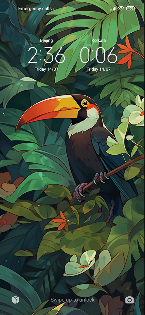 Forest toucan preview