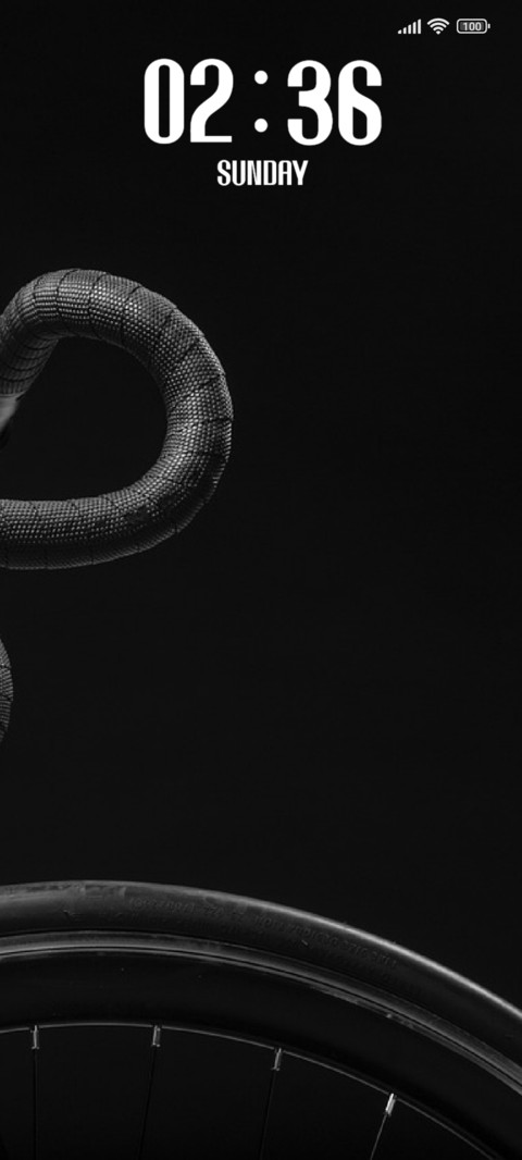 Black Cycle preview