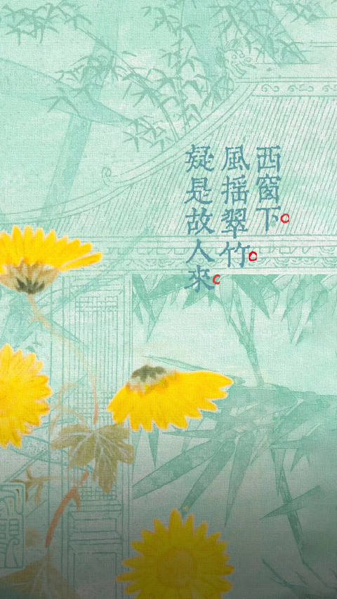 愿盛夏无忧 preview
