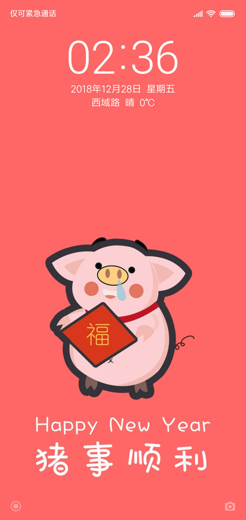 2019猪事顺利 preview