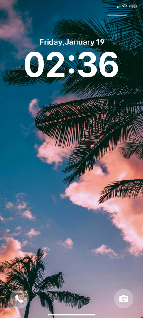 Summer limited preview