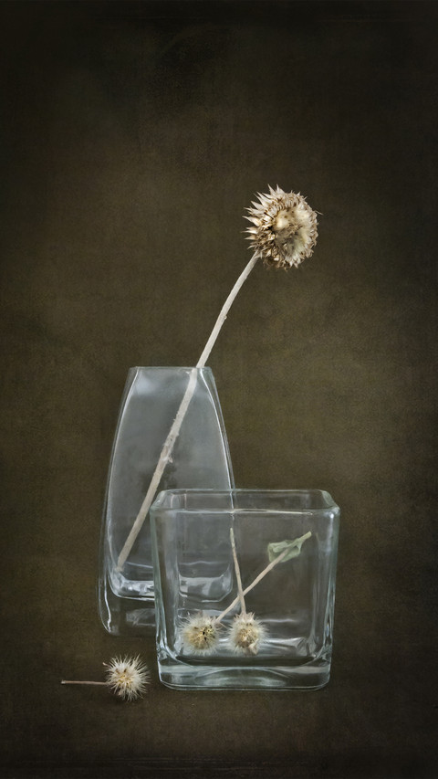 Method of Making Dried Flowers 5 preview