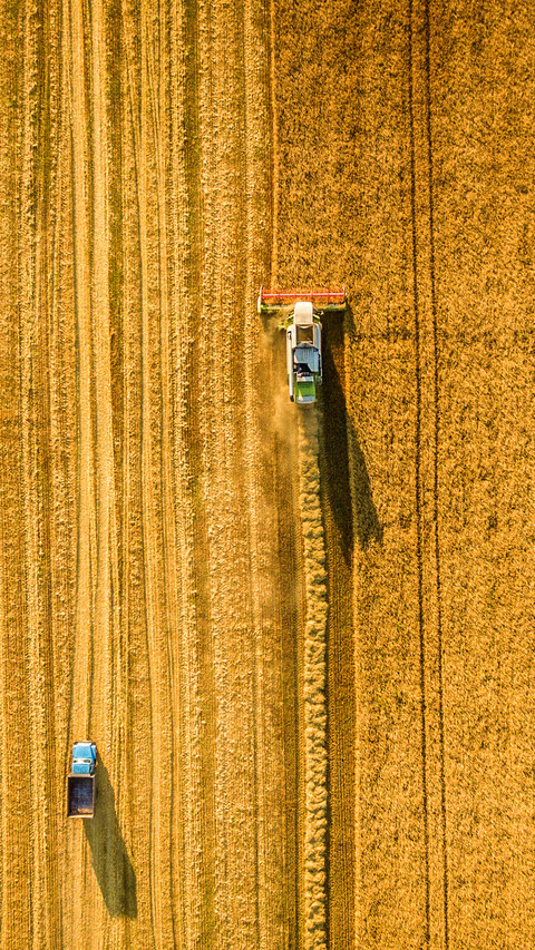 Harvester machine working in field preview