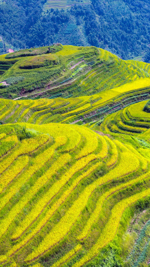 VCG211179692223 preview
