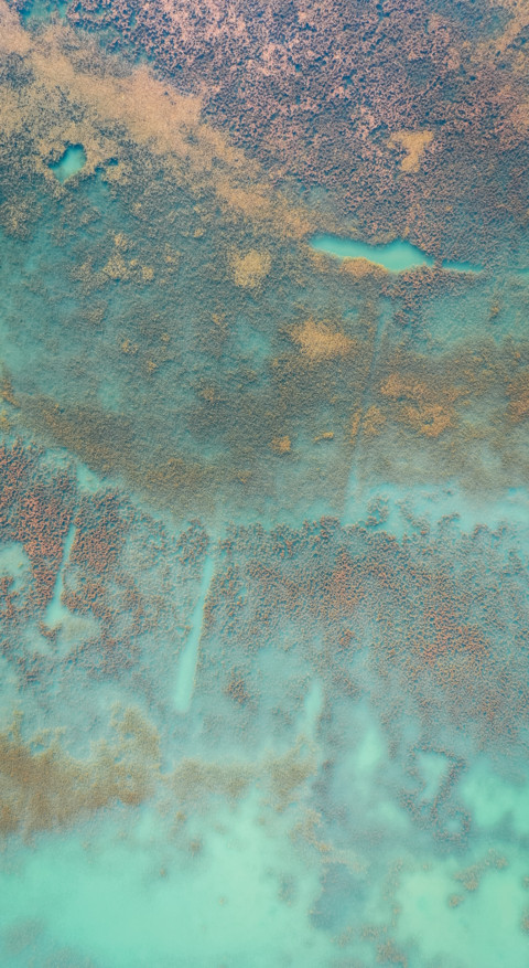 Nature HD - 2020-06-02T124041.722 preview