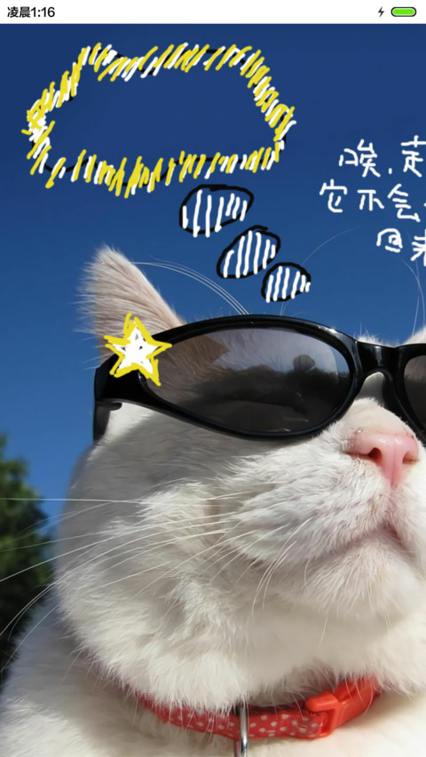 江天真的猫 手绘+音乐界面  preview