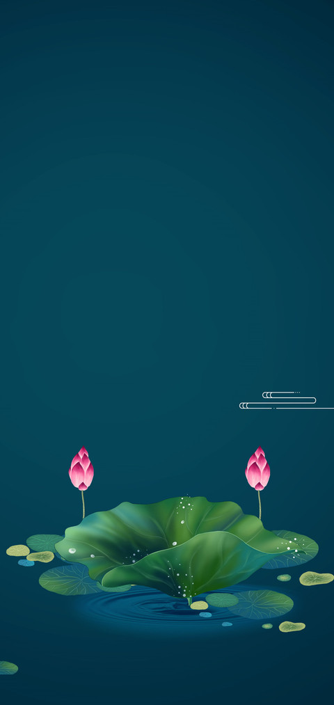 荷花情 preview