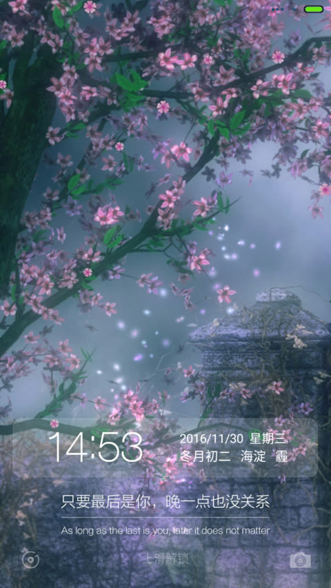 多彩之旅+动态落花 preview