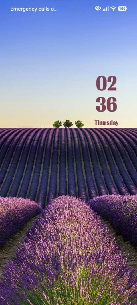 Lavender Field preview