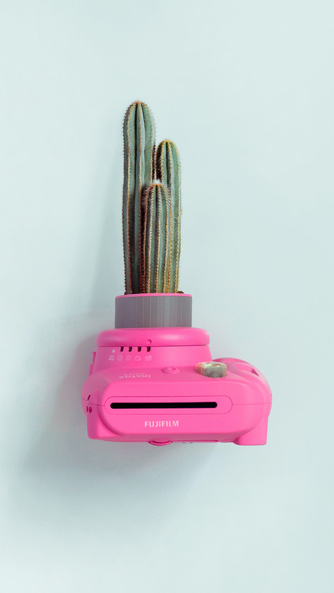 plant (3) preview