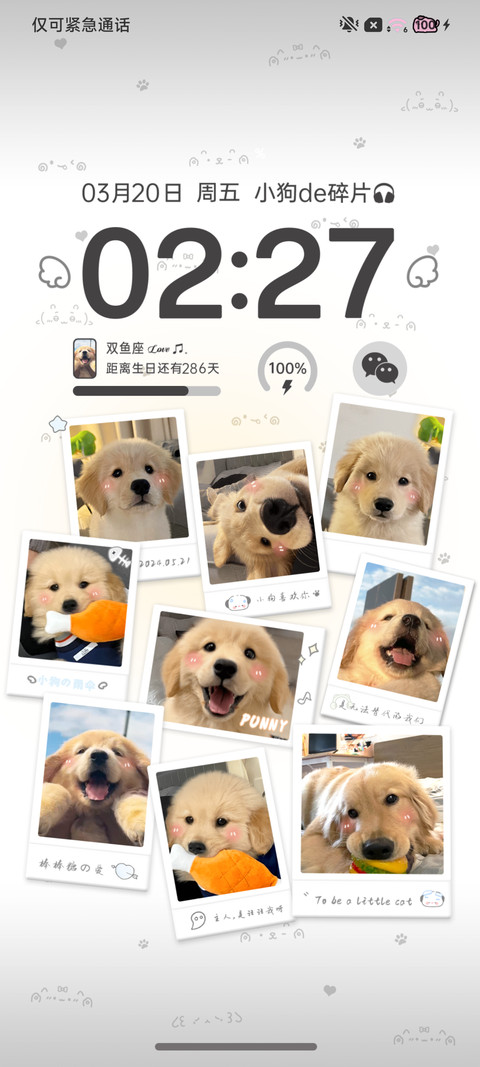 快乐小金毛 拍立得 preview