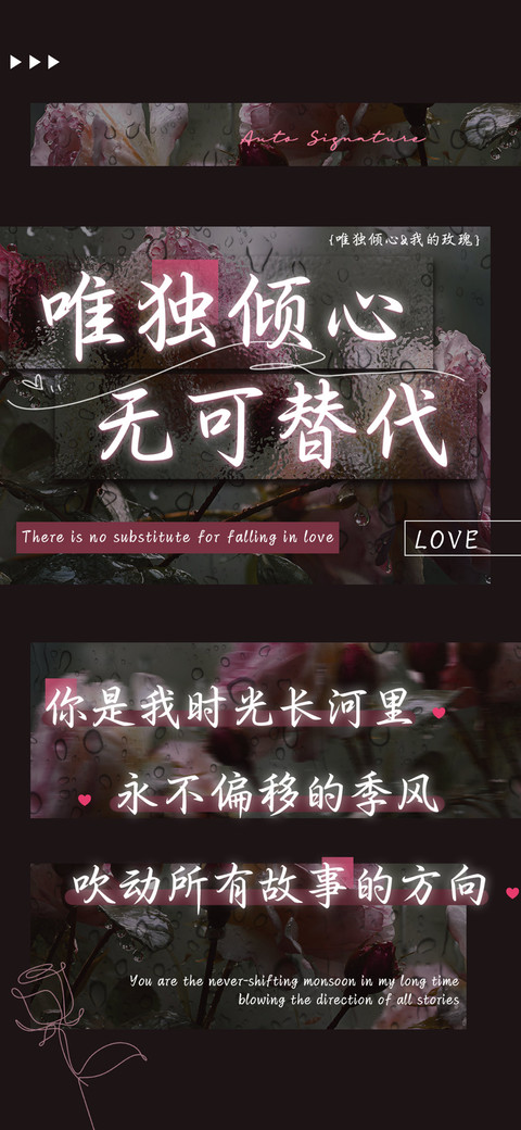 唯独倾心无可替代 preview
