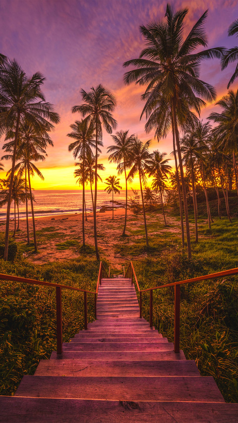 Paradise beach preview
