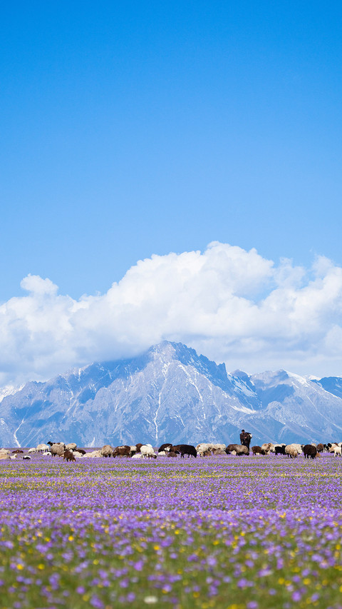 Mountain preview