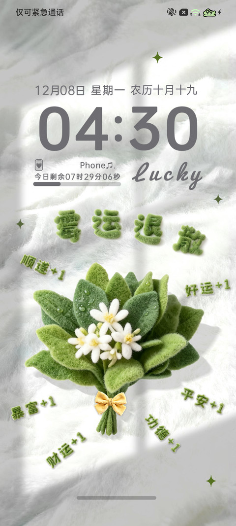 柚子叶 霉运退散 preview