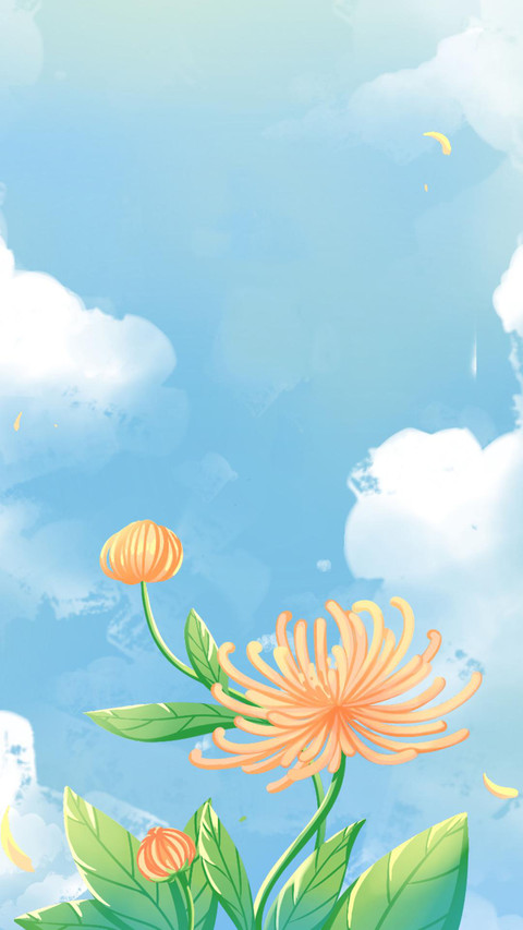插画注意肌理结构 preview