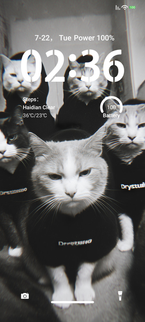 Cat Gang preview