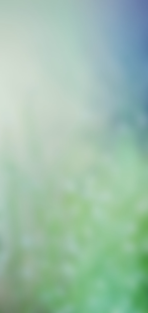 青春 preview
