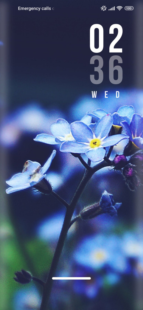 Flower_life preview