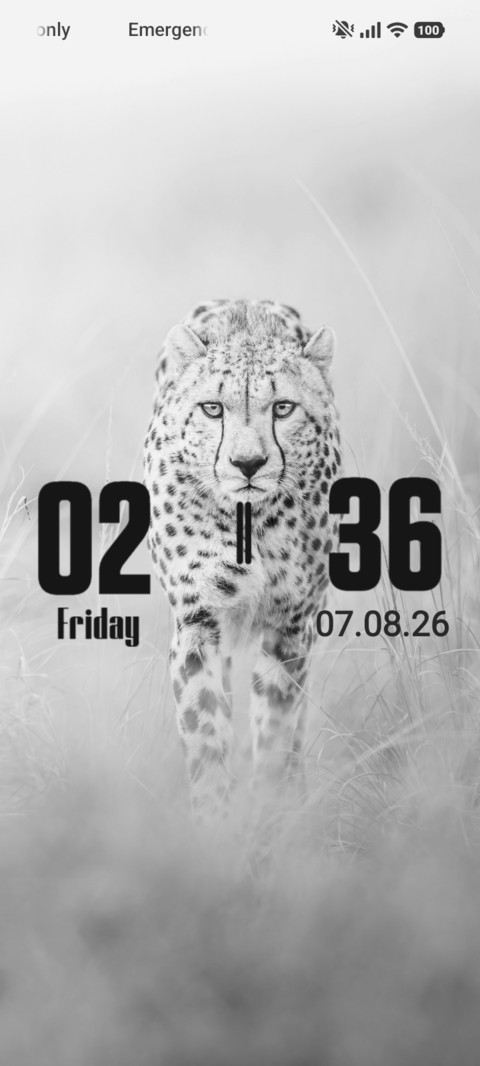 White Cat preview