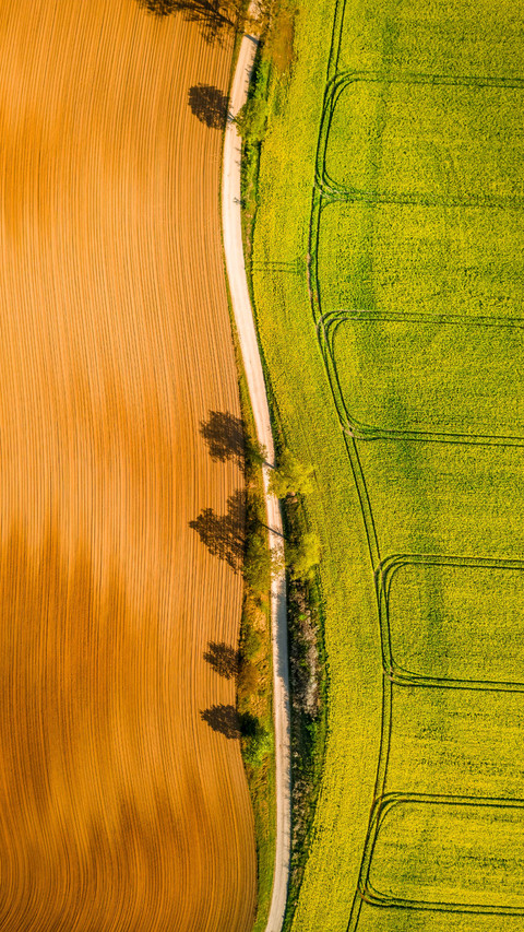 乌克兰为何是欧洲粮仓 preview