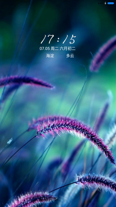 爱情毛毛草 preview