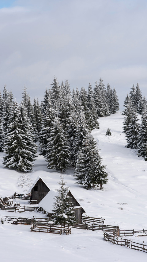 Winter Snowfield preview