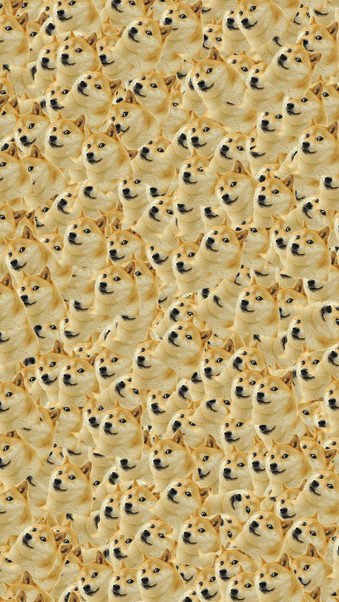 柴犬 preview