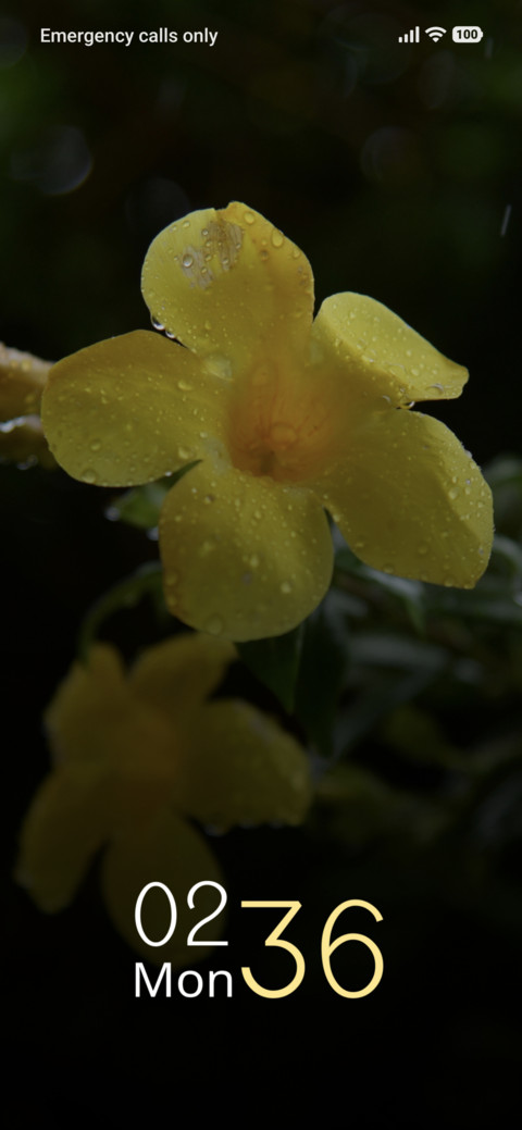 Golden Shower preview