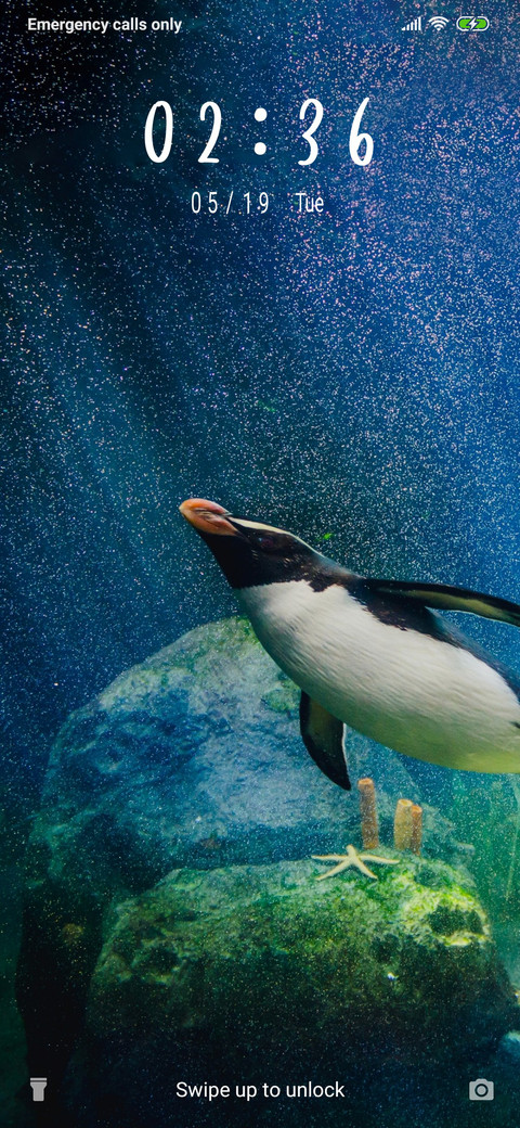 Diving Penguins_3MDS preview