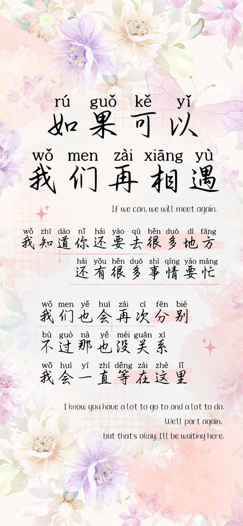 如果可以我们再相遇 preview